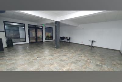 Vanzare  Vila  Individuala   Voluntari   180 000eur - 8