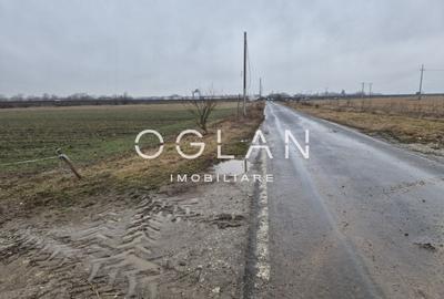 Teren extravilan 11.300 mp, front 39 m, Selimbar - 6