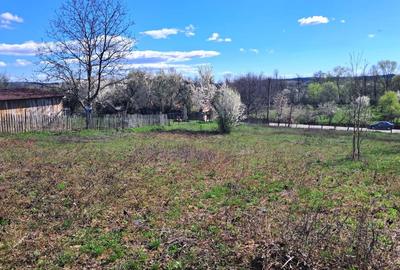 Teren Construcții intravilan de 2592 mp, în Polovragi - 6