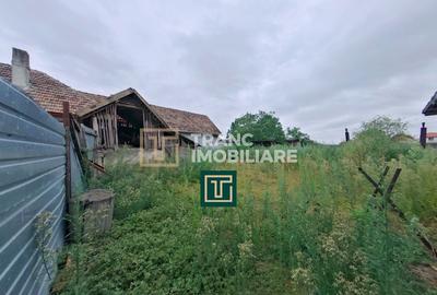 Casă cu 4 camere cu Teren 1440 Mp în Secusigiu - 13