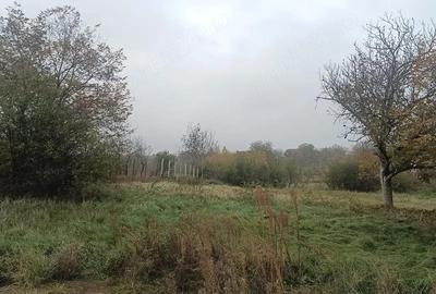 Teren de 990 mp, în Central - 5