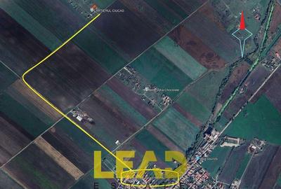 Casă cu Teren 504 Mp în Hălchiu - 2