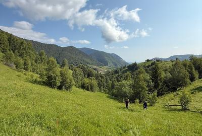 Teren intravilan  Pestera Brasov, 11908 mp - 9