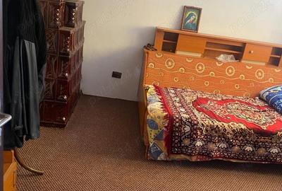 Casă în Bertea - 3