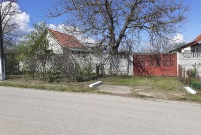 Casă individuală cu 2 camere cu Teren 2489 Mp în Visag - 2