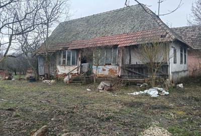 Casă cu 2 camere în Șemlacu Mare - 2