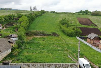 Teren de 5000 mp, în Valea Arini - 6