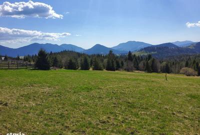 Spațiu comercial, în Piatra - 6