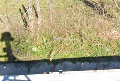 Vand terenuri in com Bezdead-Dambovi?a - 2