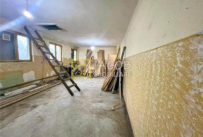 Spatiu productie (fosta moara) cu anexe, Buhoci, Bacau - 3