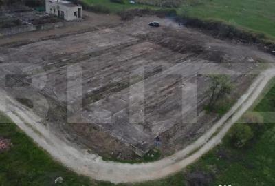 Teren de 10000 mp, în Abator - 3