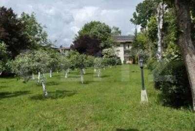 Casă cu 7 camere cu Teren 3833 Mp în Băicoi - 3
