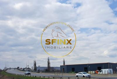 Spațiu industrial, de 760 mp, în Mogoșoaia - 10