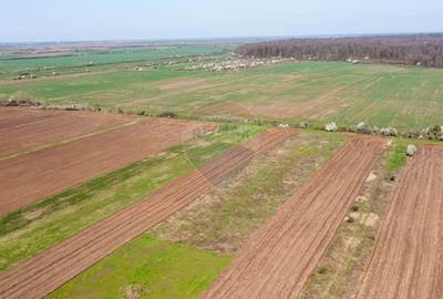 Teren Construcții intravilan de 500 mp, în Săbăreni - 7