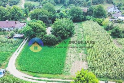 TEREN intravilan GIROV 4133 mp - 6