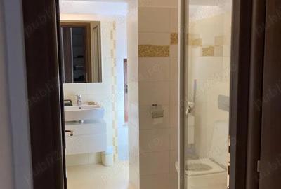 Particular inchiriez apartament zona de case adiacenta Drumul Sarii, AFI Cotroceni - 3