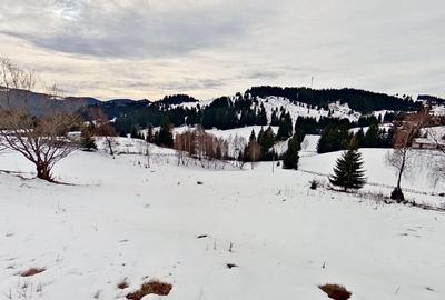 Teren Intravilan in Fundata, Brasov Ideal pentru Investitie Turistica - 9