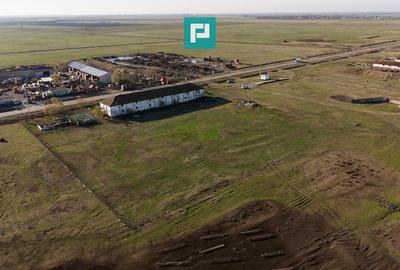 Hală industrială cu teren generos în Zărand, Arad - 39