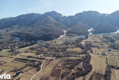 Teren de 4043 mp, în Bran