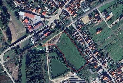 RECO Teren intravilan 13.500 mp Beius - 2