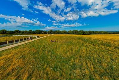 De vânzare: Teren 2000 mp în Glăjerie - Cadru natural spectaculos - 4