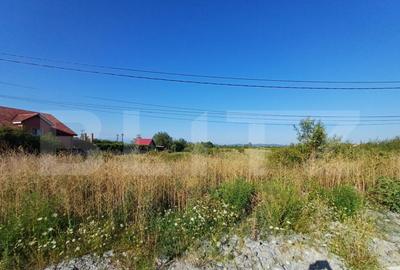 Teren intravilan si extravilan, 9500 mp, cu dubla deschider - 4