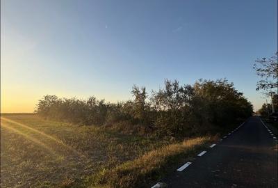 Teren 2350m2 Intravilan - Visinii, Jud. Calarasi - 1