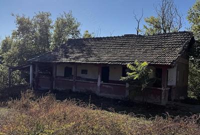 Casă cu Teren 1800 Mp în Giurgița - 3