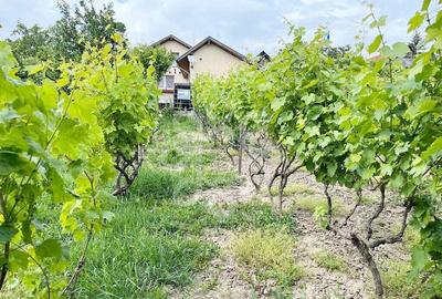 Casa cu teren 2052 mp in Saldabagiu de Munte - 2