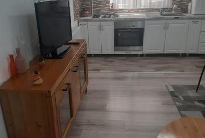 Aparatorii patriei drumul jilavei dubla cu parcare - 3
