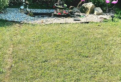 Casă cu Teren 1000 Mp în Central - 6