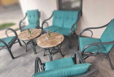 Casă cu 2 camere în Variaș - 5