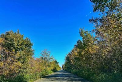 Casă cu 4 camere în Lehliu - 3