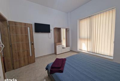 Apartament cu 4 camere decomandat în Nord - 10