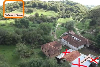 Casă cu 4 camere în Cărpinet - 5