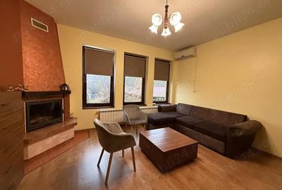 Casă cu 3 camere cu Teren 8807 Mp în Gura Văii - 5