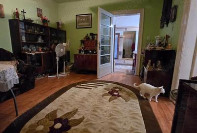 Casa locuibila si spa?ioasa zona Freidorf langa Lidl teren 500mp toate utilitatile - 2