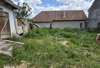 Casă cu 4 camere cu Teren 864 Mp în Bârzava - 4