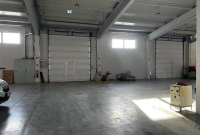 Hala moderna / Productie / Depozitare - 7