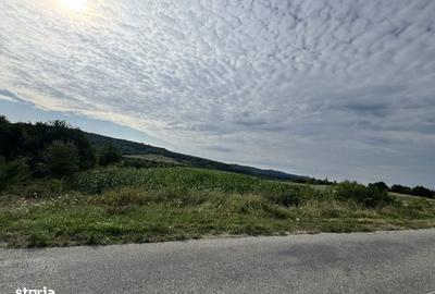 Teren de 15000 mp, în Mihăești