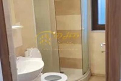 Apartament cu o camera in Tatarasi - 5