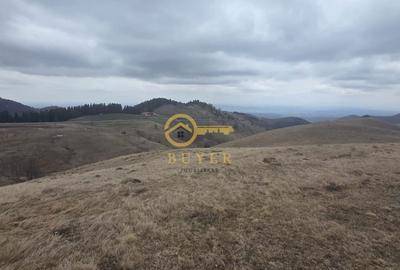 Teren de 2025 mp, în Rășinari - 1