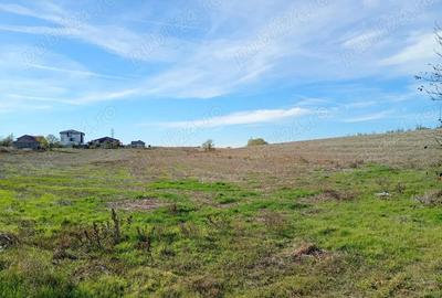 Teren 6.000 mp in Peri?, aproape de Bucure?ti ideal pentru locuin?a sau investi?ie - 6