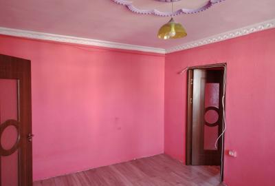 Apartament cu 2 camere în Țarna Mare - 2