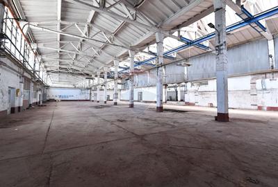 Teren industrial 35.000 mp cu hale de productie Craiova - 13