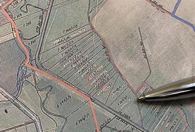 Teren agricol extravilan de 27000 mp, în Remetea Mare - 1