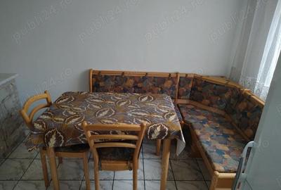 Apartament cu 2 camere semidecomandat în Govândari - 10
