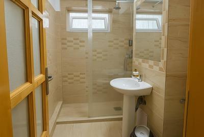 Apartament 2 camere in Astra, Brasov - 52 mp - 8