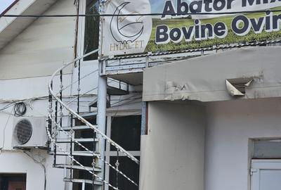 Spațiu industrial, în Coșereni - 18