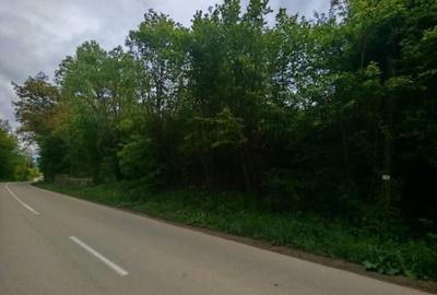 Spațiu comercial, în Drajna - 1